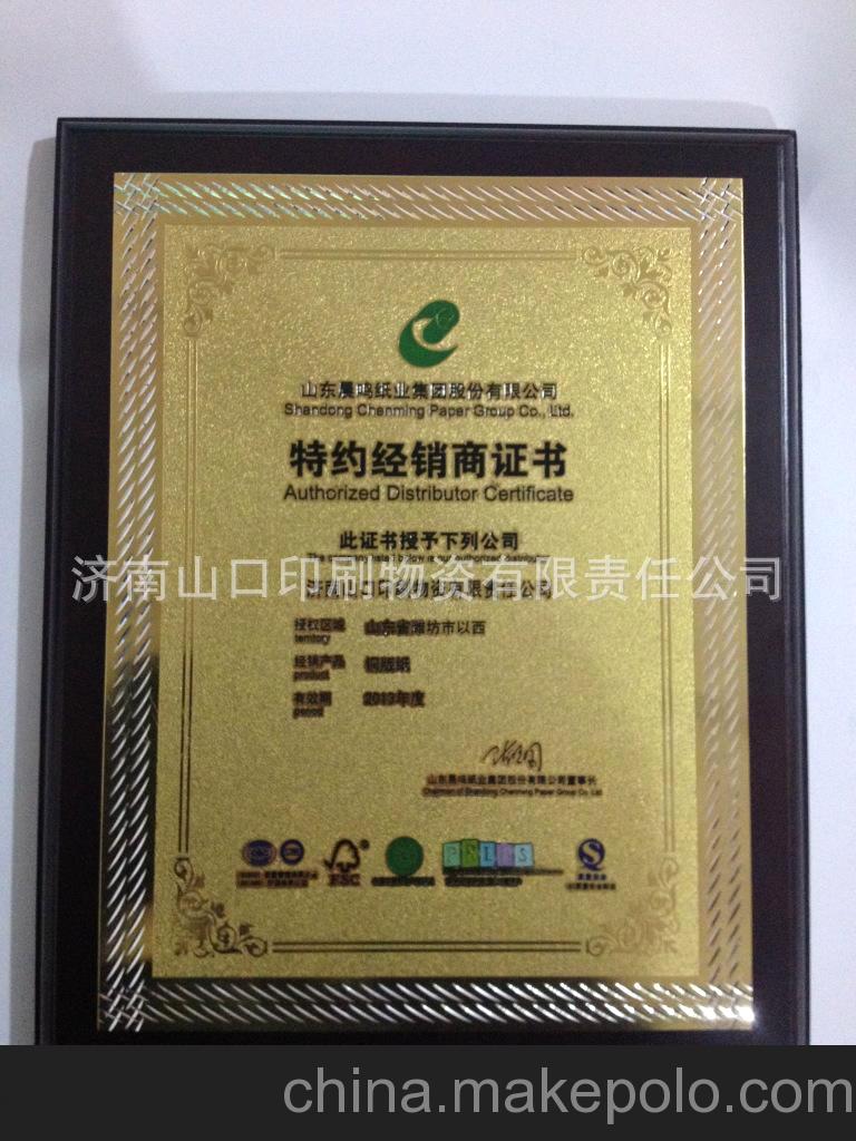 晨鳴紙業(yè) 廠家直供！80g 90g 晨鳴雪鷹亞光銅版紙