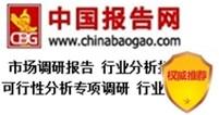 中國數碼印刷消費市場監測與發展規劃研究報告