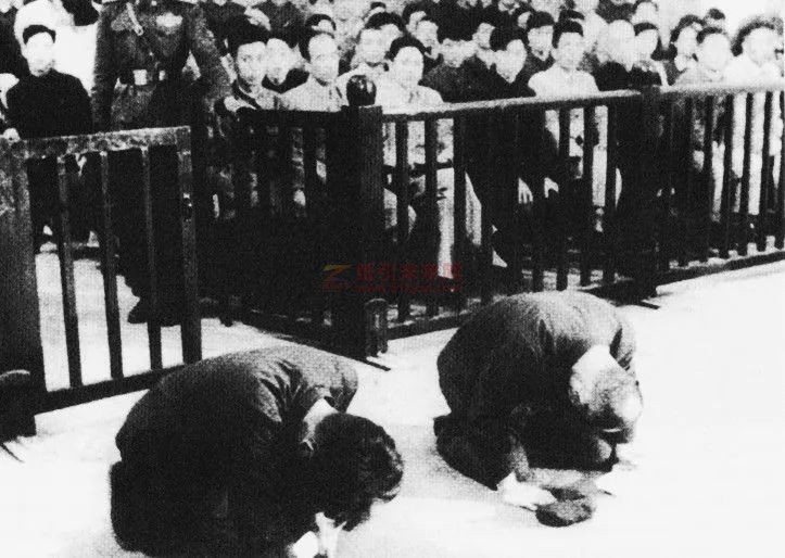 1956年,日本戰犯在沈陽特別軍事法庭上跪地謝罪